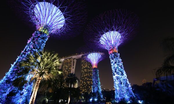 Il Gardens by the Bay, il giardino sospeso di Singapore, è il giardino più bello del mondo
