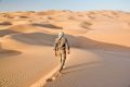 I 20 Deserti più grandi e importanti del Mondo